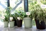 green basics pot de culture 21cm vert pierre
